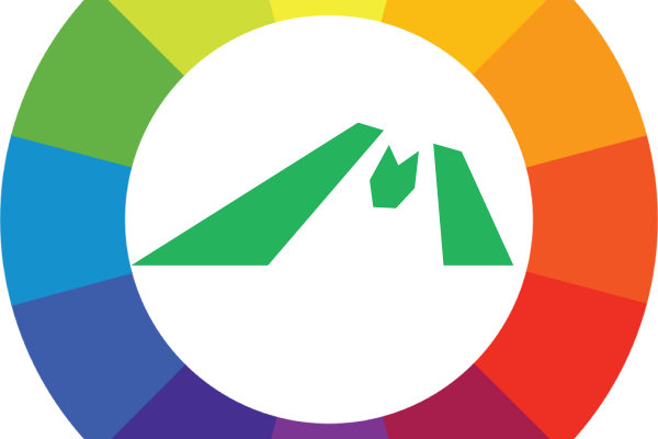 Mountain Trike all terrain wheelchair - What colour frame to choose?